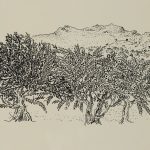 Ελιές, μεταξοτυπία, 23 × 34 εκ.